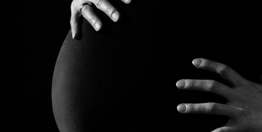 Nachwuchs in Sicht?!?